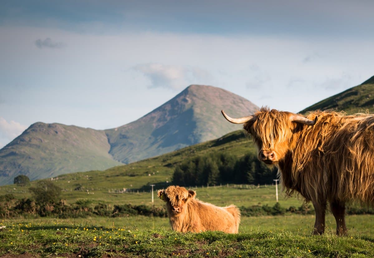 Isle of Mull